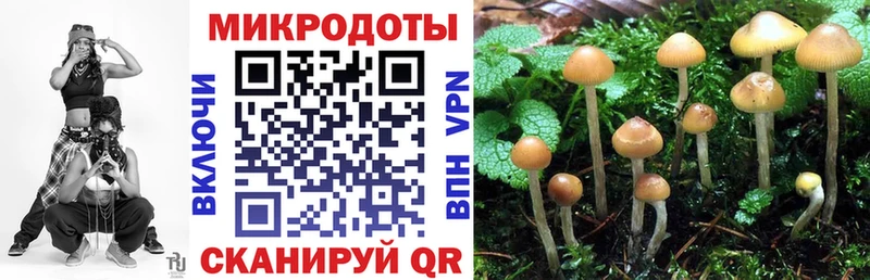 Псилоцибиновые грибы Psilocybine cubensis  цены   Красный Сулин 